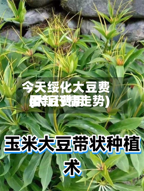 今天绥化大豆费用(大豆费用最新行情走势)