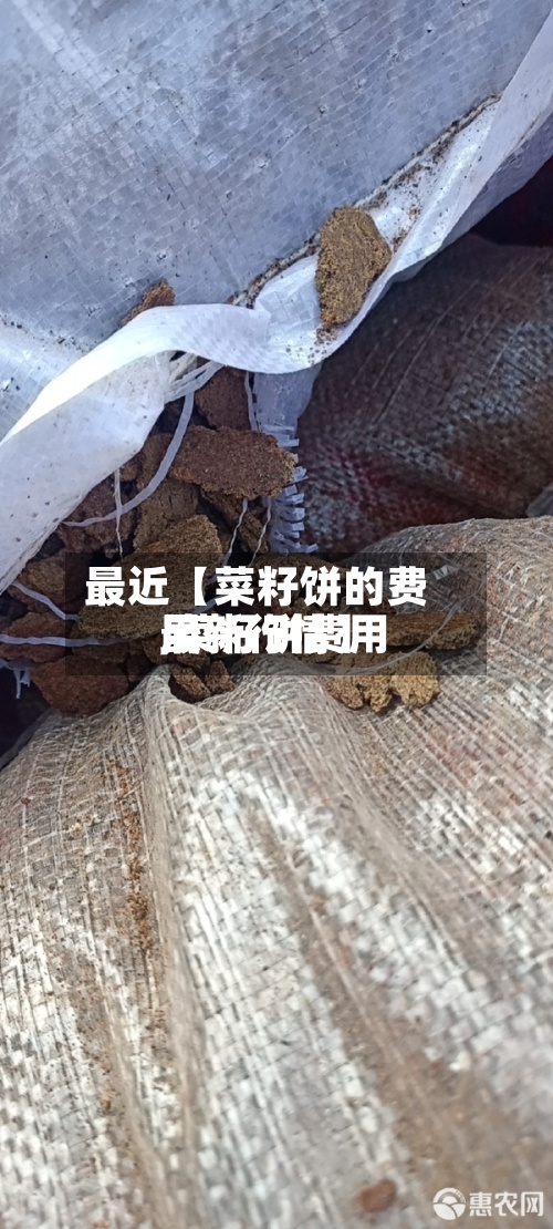最近【菜籽饼的费用,菜籽饼费用最新行情】-第2张图片