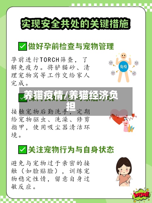 养猫疫情/养猫经济负担