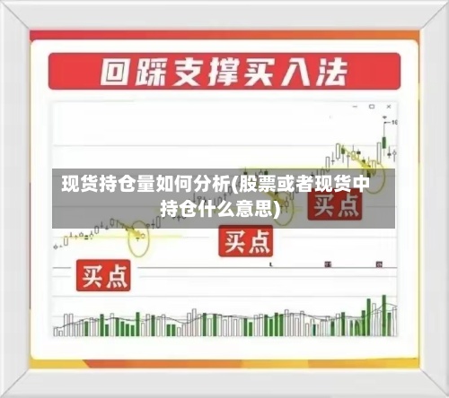 现货持仓量如何分析(股票或者现货中持仓什么意思)-第2张图片