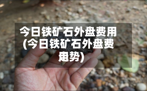今日铁矿石外盘费用(今日铁矿石外盘费用走势)-第3张图片