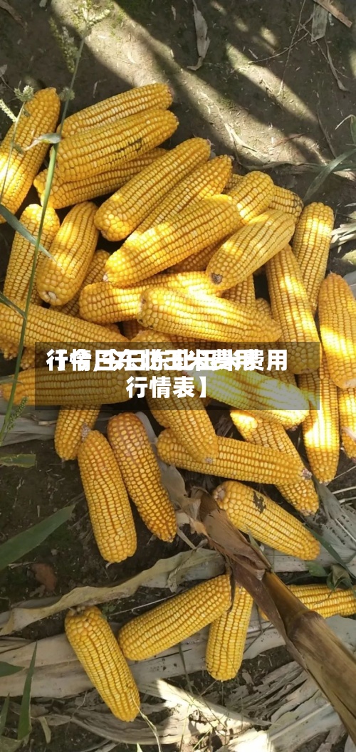 【今日东北玉米费用行情,今日东北玉米费用行情表】