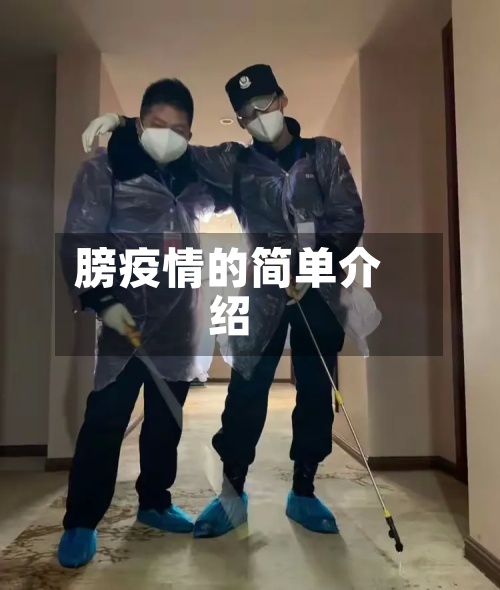 膀疫情的简单介绍