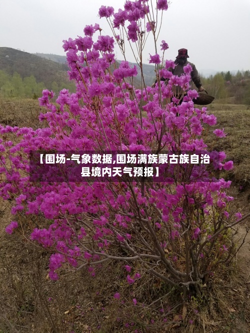 【围场-气象数据,围场满族蒙古族自治县境内天气预报】-第2张图片