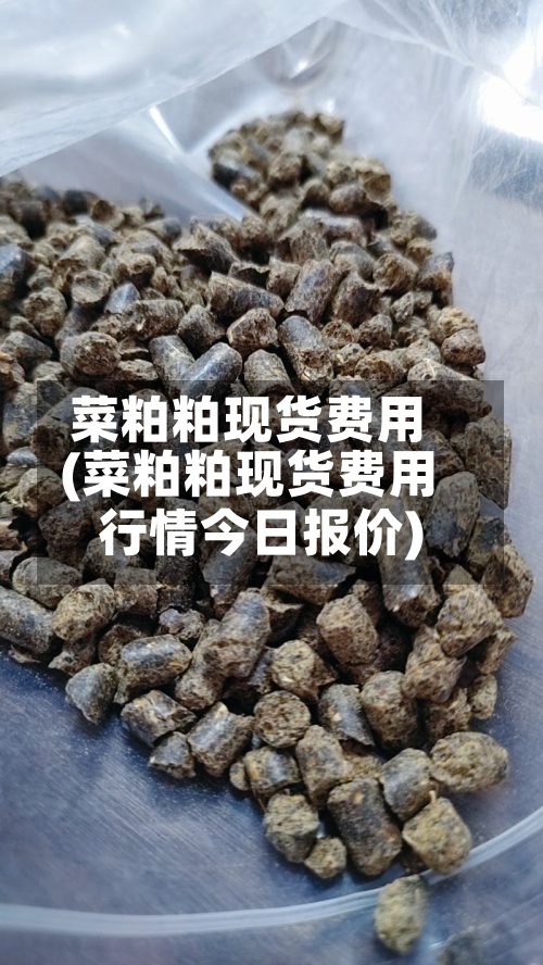 菜粕粕现货费用(菜粕粕现货费用行情今日报价)-第2张图片