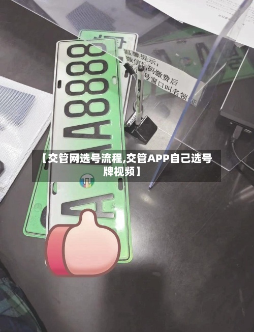 【交管网选号流程,交管APP自己选号牌视频】