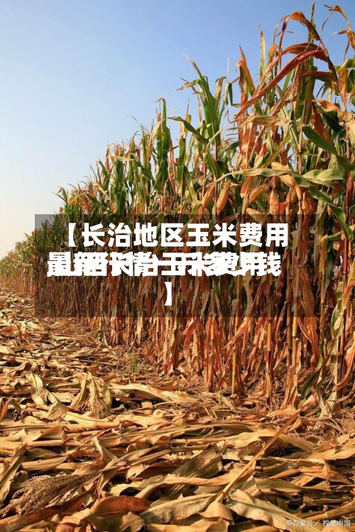 【长治地区玉米费用
,山西长治玉米费用
最新行情一斤多少钱】-第2张图片