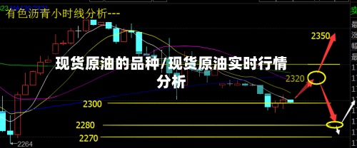 现货原油的品种/现货原油实时行情分析