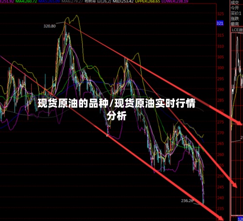 现货原油的品种/现货原油实时行情分析-第2张图片