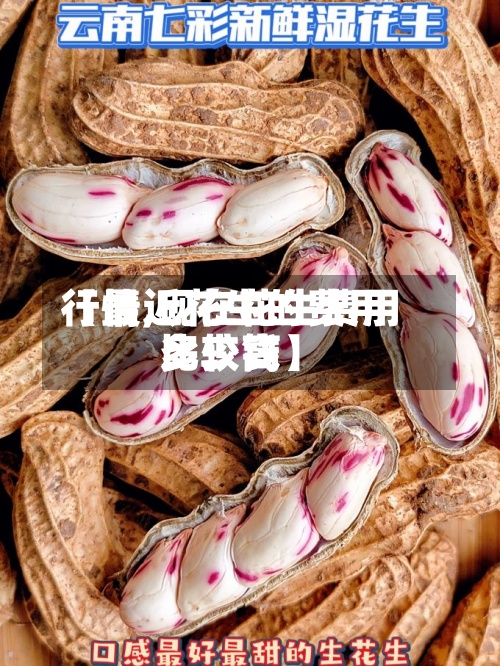 【最近花生的费用行情,现在花生费用比较高多少钱】-第2张图片