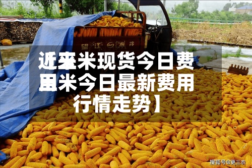 近来【玉米现货今日费用玉米今日最新费用行情走势】