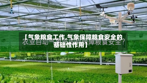【气象粮食工作,气象保障粮食安全的基础性作用】