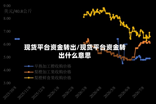 现货平台资金转出/现货平台资金转出什么意思