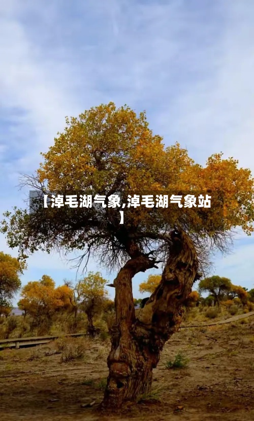 【淖毛湖气象,淖毛湖气象站】-第3张图片