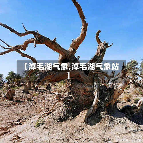 【淖毛湖气象,淖毛湖气象站】-第2张图片