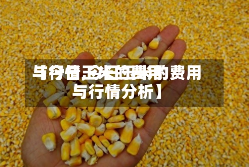 【今日玉米的费用与行情,今日玉米的费用与行情分析】-第2张图片
