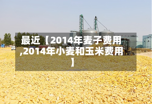 最近【2014年麦子费用,2014年小麦和玉米费用】-第3张图片