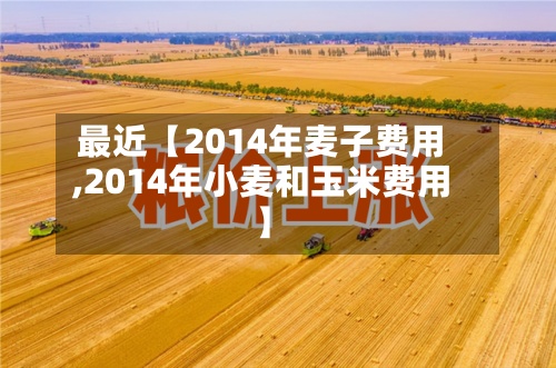 最近【2014年麦子费用,2014年小麦和玉米费用】-第2张图片