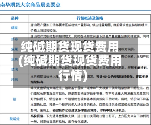 纯碱期货现货费用(纯碱期货现货费用行情)