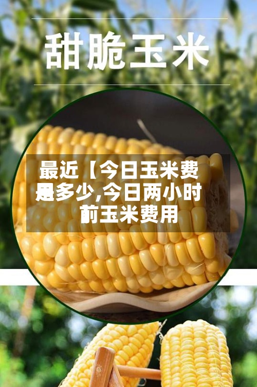 最近【今日玉米费用是多少,今日两小时前玉米费用】