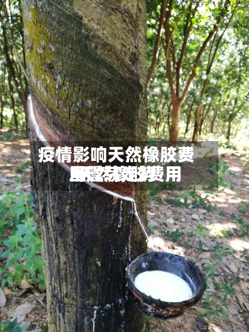 疫情影响天然橡胶费用/天然橡胶费用呈震荡走势