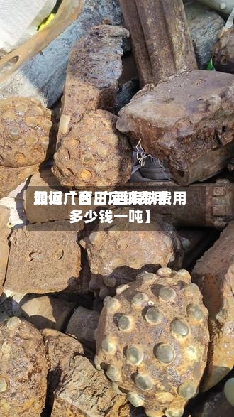 最近【今日废铁费用如何广西,广西废铁费用多少钱一吨】