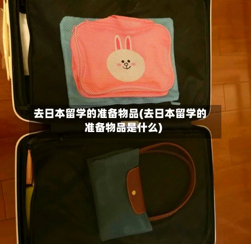 去日本留学的准备物品(去日本留学的准备物品是什么)