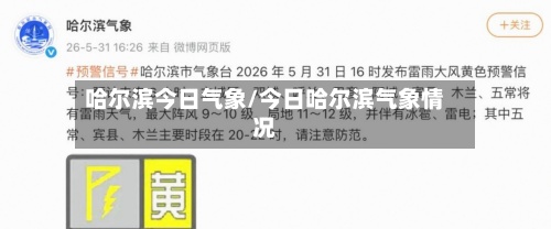 哈尔滨今日气象/今日哈尔滨气象情况-第3张图片