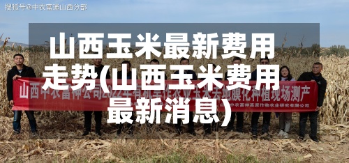 山西玉米最新费用走势(山西玉米费用最新消息)-第2张图片