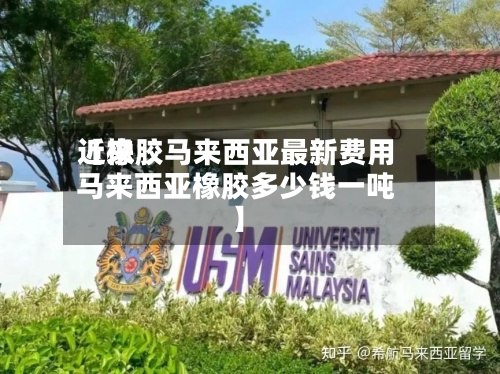 近来【橡胶马来西亚最新费用马来西亚橡胶多少钱一吨】-第2张图片