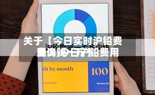 关于【今日实时沪铅费用查询,今日沪铅费用多少钱一斤】-第2张图片