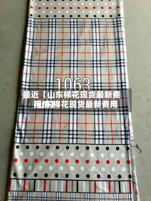 最近【山东棉花现货最新费用,山东棉花现货最新费用行情】-第3张图片