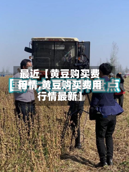 最近【黄豆购买费用行情,黄豆购买费用行情最新】