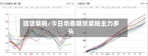 现货菜粕/今日华泰期货菜粕主力多头