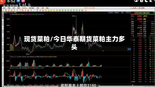 现货菜粕/今日华泰期货菜粕主力多头-第3张图片
