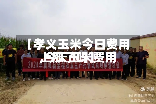 【孝义玉米今日费用,今天玉米费用上涨了吗】