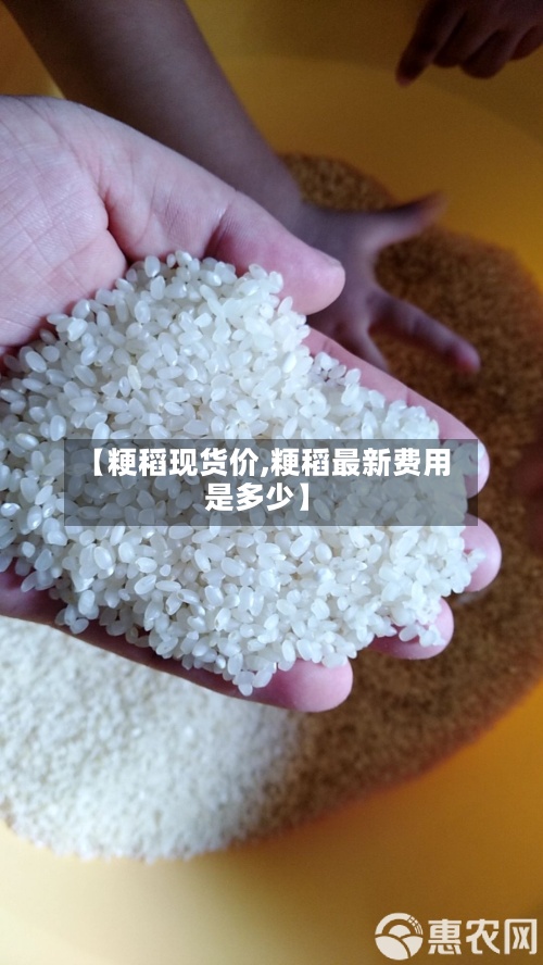 【粳稻现货价,粳稻最新费用是多少】