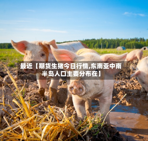 最近【期货生猪今日行情,东南亚中南半岛人口主要分布在】-第3张图片