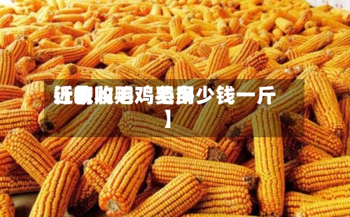 近来
【收购毛鸡费用
行情收购鸡毛多少钱一斤】-第2张图片