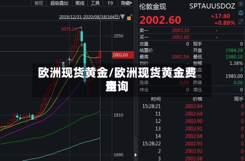 欧洲现货黄金/欧洲现货黄金费用查询-第2张图片
