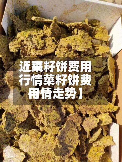 近来
【菜籽饼费用
行情菜籽饼费用
行情走势】-第3张图片