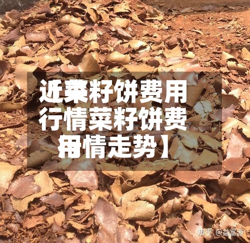 近来
【菜籽饼费用
行情菜籽饼费用
行情走势】-第2张图片