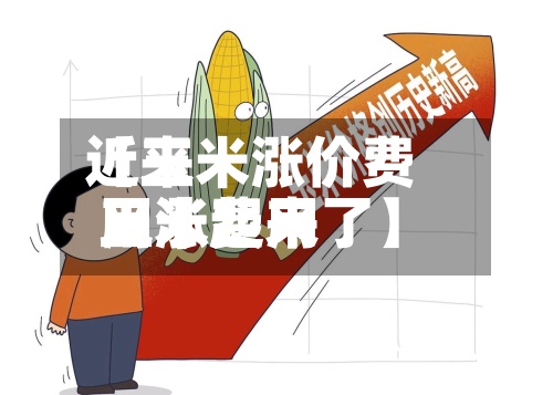 近来【玉米涨价费用玉米费用又涨起来了】-第2张图片