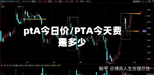 ptA今日价/PTA今天费用是多少