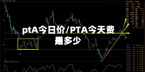 ptA今日价/PTA今天费用是多少-第3张图片