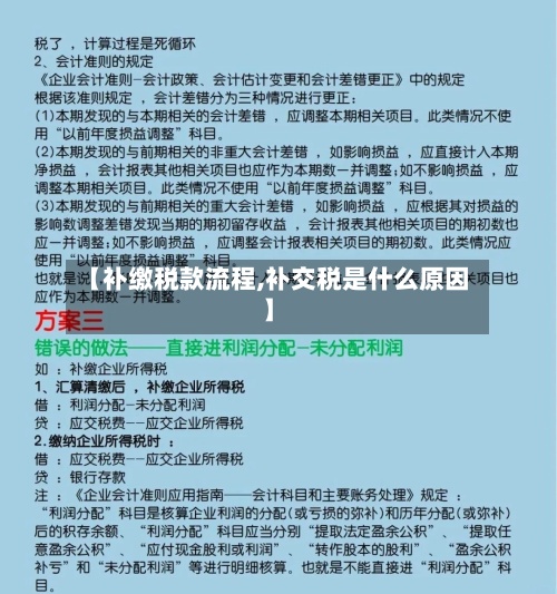 【补缴税款流程,补交税是什么原因】-第3张图片