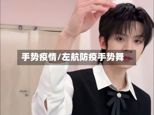 手势疫情/左航防疫手势舞