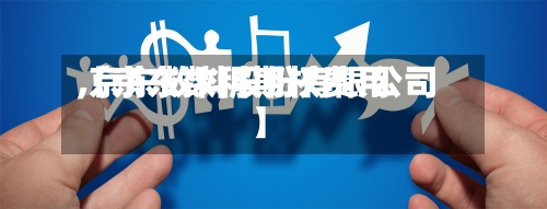 【京东数科期权费用,京东数科股份有限公司】