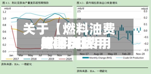 关于【燃料油费用与期货费用,燃料油费用与期货费用的区别】-第2张图片