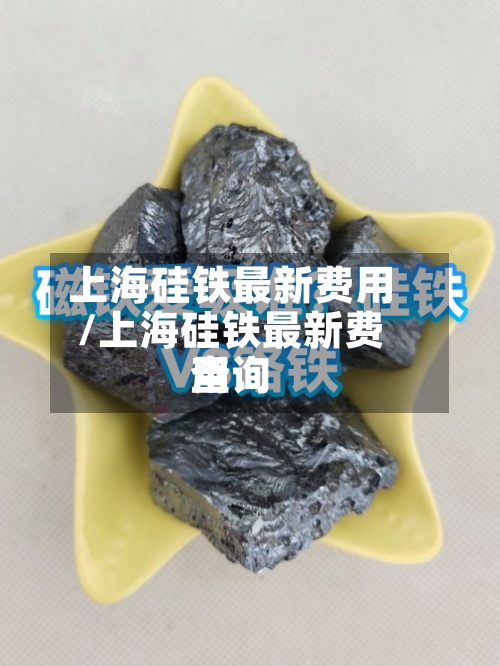 上海硅铁最新费用/上海硅铁最新费用查询-第2张图片